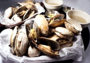 New England Steamers